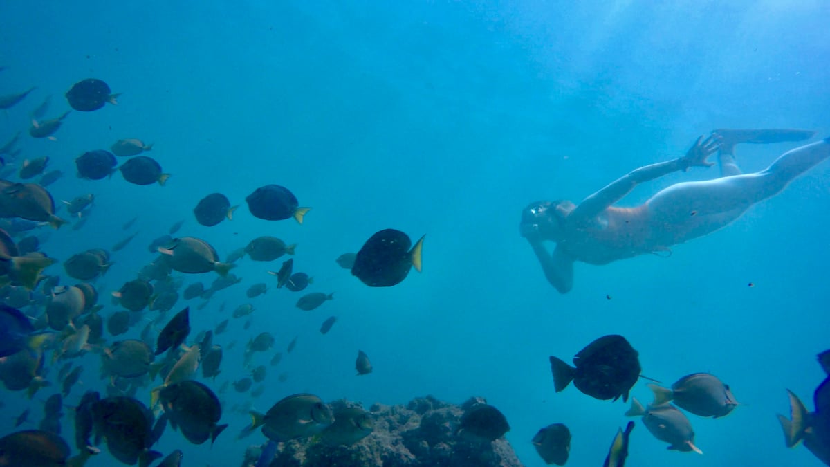 Snorkeling